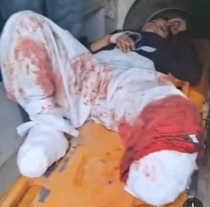 IMG-20241205-WA0287(1)