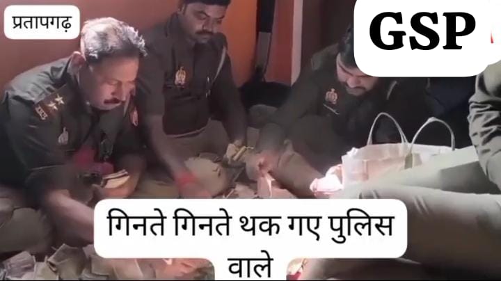 IMG-20251110-WA0199(1)